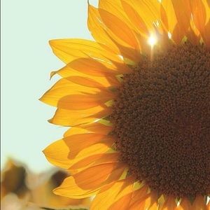 Meet your Posher, Anne-sophie